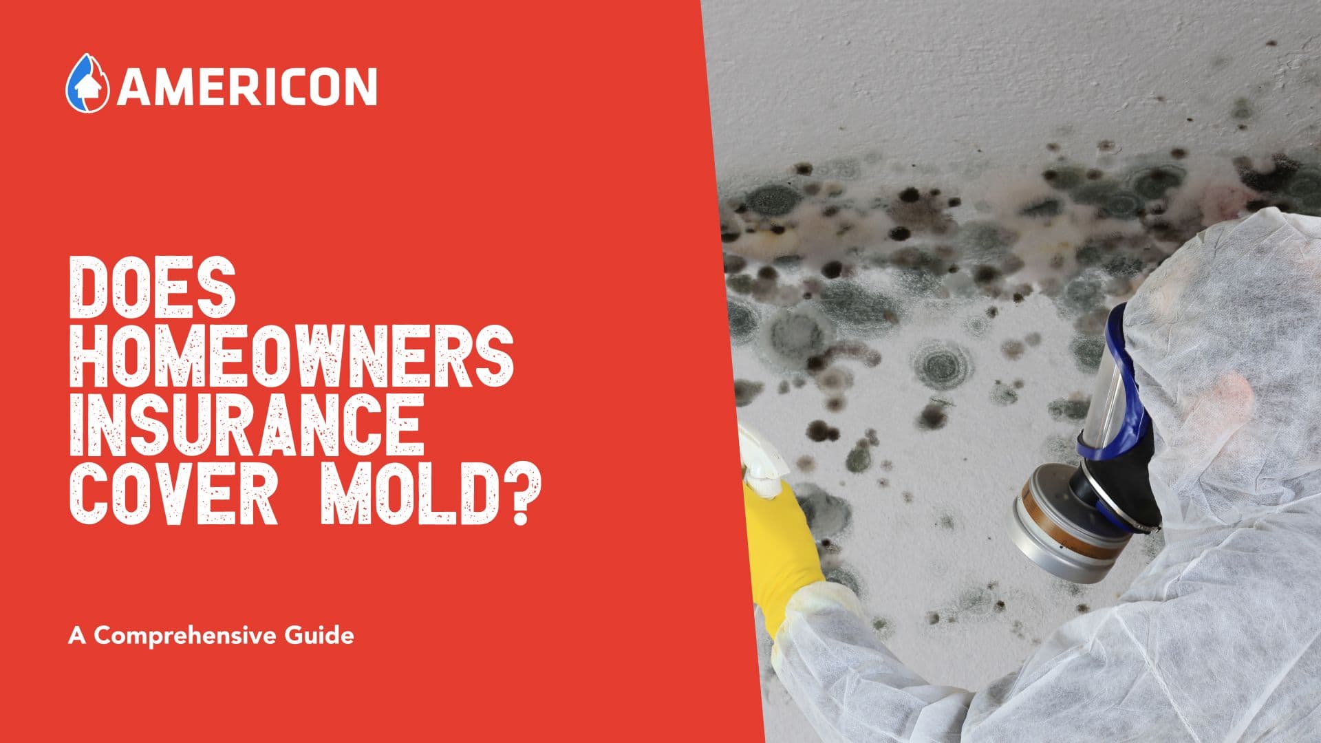 Does Homeowners Insurance Cover Mold Remediation?