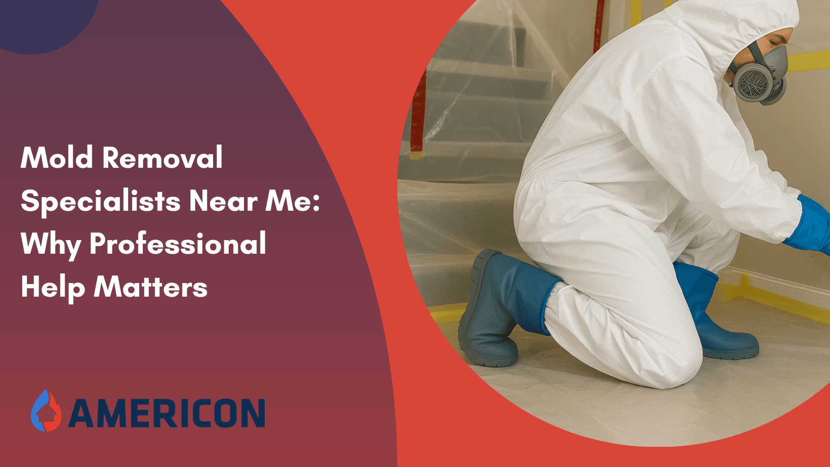 Mold Removal Specialists Near Me: Why Professional Help Matters