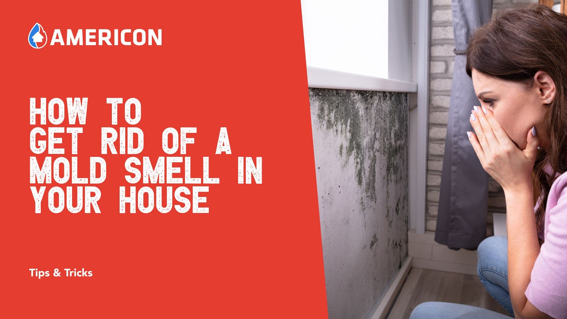 How to Get Rid of a Mold Smell in Your House