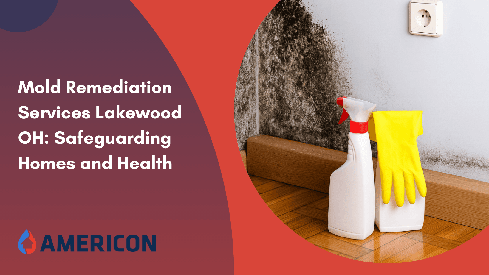 Mold Remediation Services Lakewood OH: Safeguarding Homes and Health