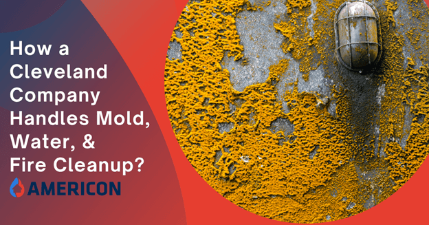 How a Local Restoration Company in Cleveland Handles Mold, Water, and Fire Cleanup?