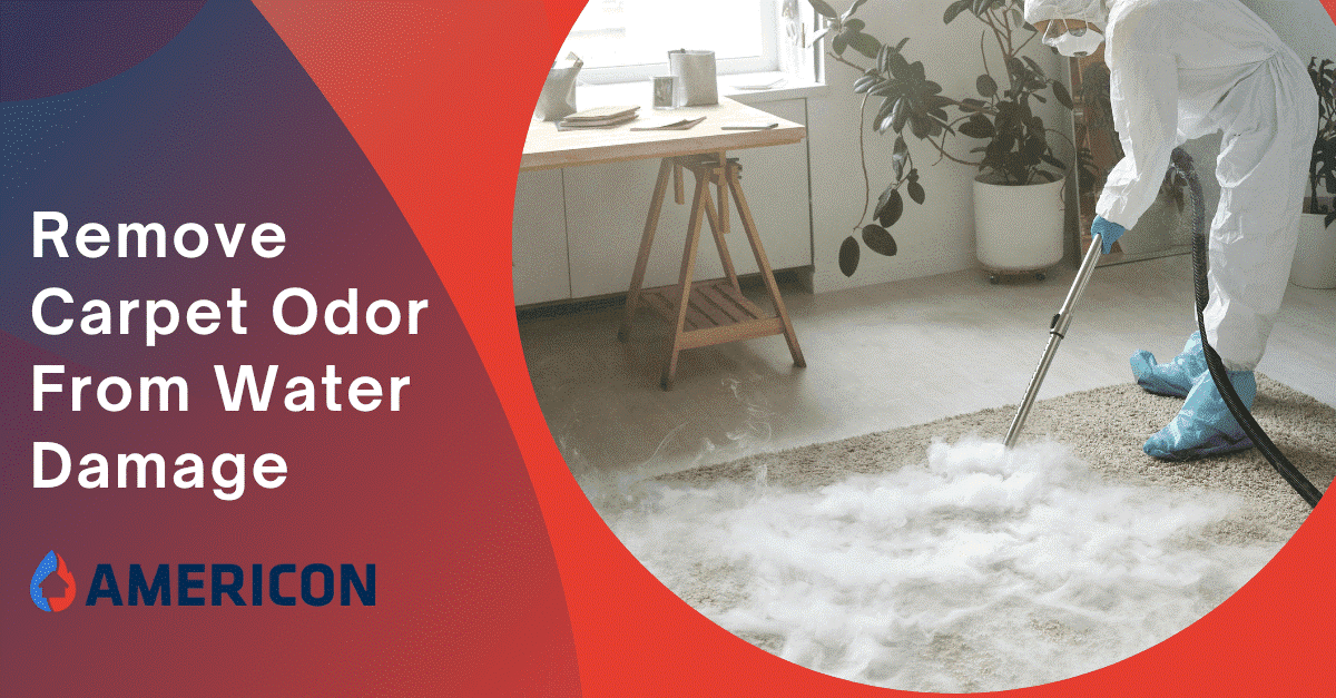 5 Steps To Remove Carpet Odors From Water Damage