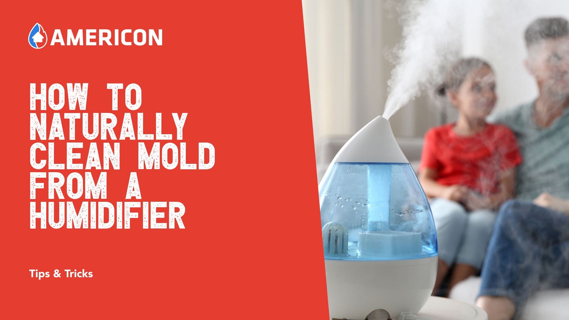 How to naturally clean mold from a humidifier
