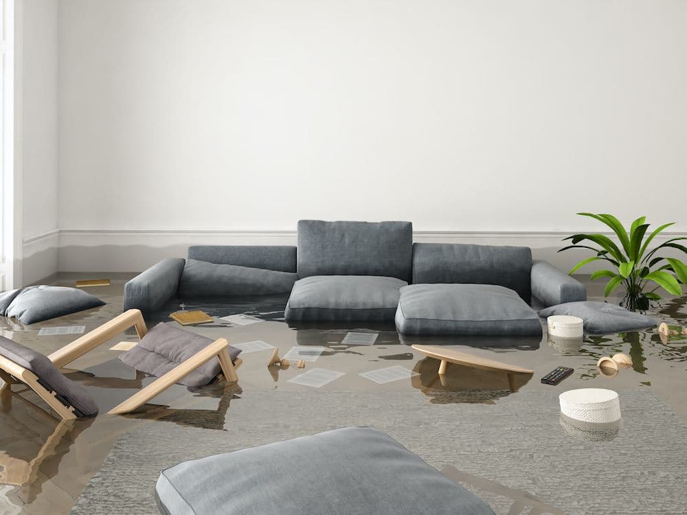 When Is It Safe to DIY Flood Cleanup?