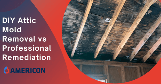 DIY Attic Mold Removal vs Professional Remediation Services in Ohio