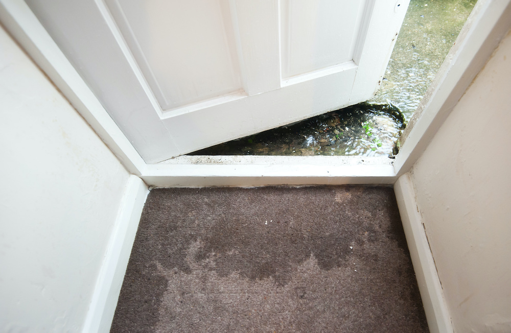 Water damage on a carpet in a home's doorway.