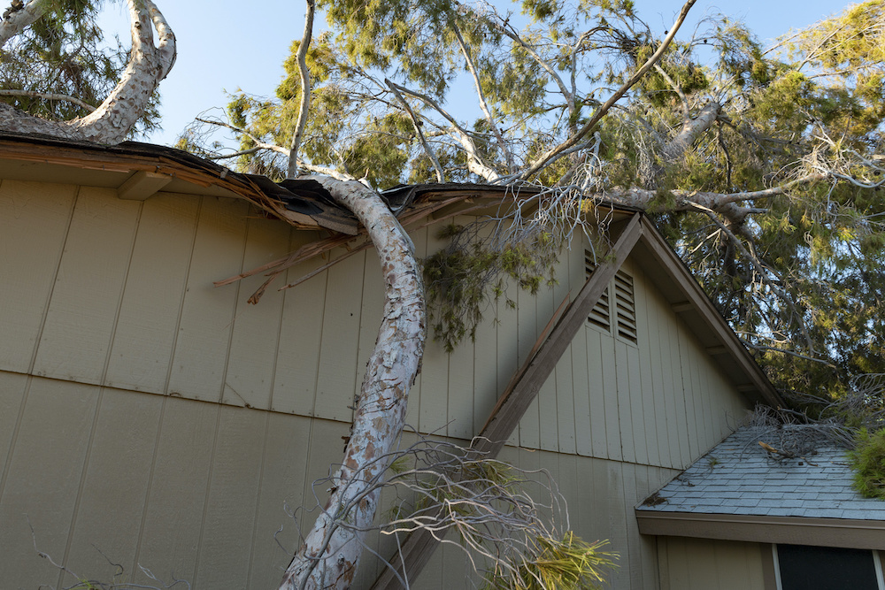 A tree lays across a damaged roof before disaster recovery specialists come to fix it.