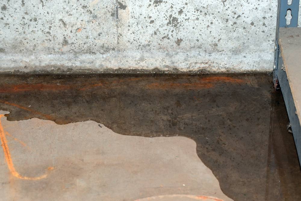 Mold and water damage coexist in a leaky basement.