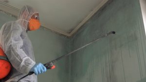 A mold removal company sprays a wall with chemicals.