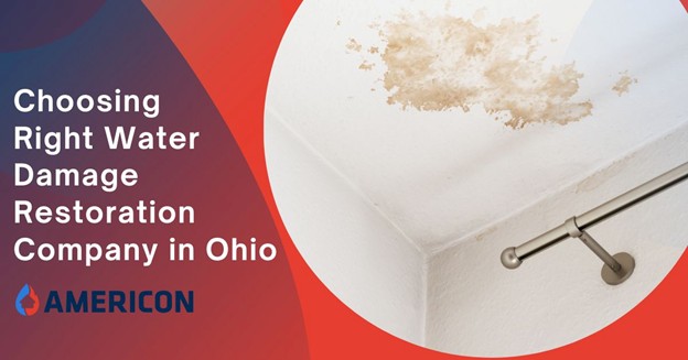 Water Damage Restoration Company